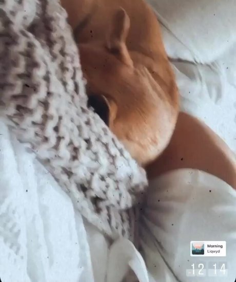 prone onlyfans nice img