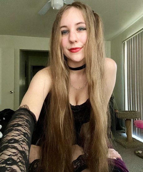 Casey The Gamer free star photos