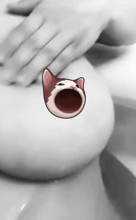 kitty ketttt nudes star images