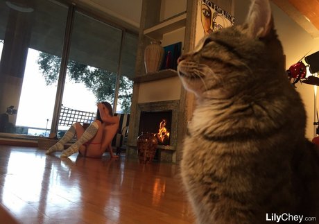 naked girls onlyfans beautiful nude photos