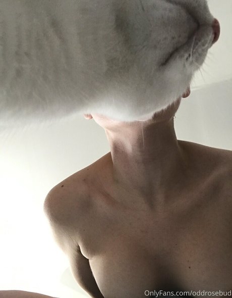 arab blowjob onlyfans nudes photo