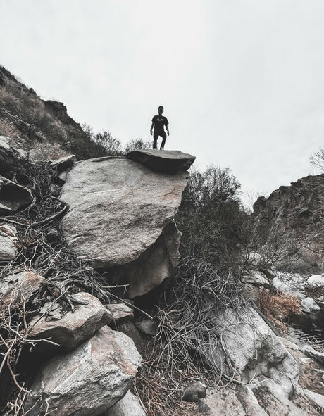 skaterrboi high quality pornstar image