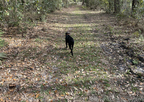 bri wynters sexy star galleries