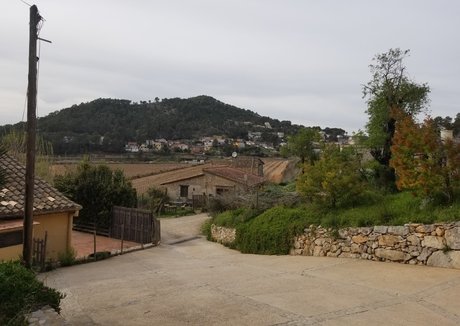 anal masturbation onlyfans top picture