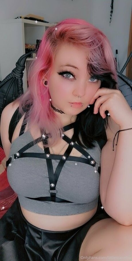 littlescarefox star sexy photo