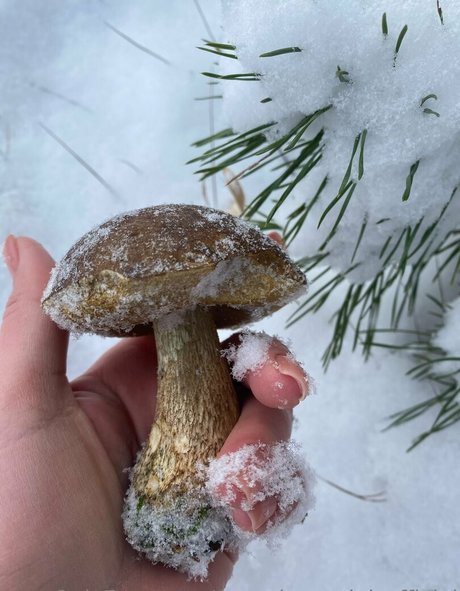 photopolli hot actress pics