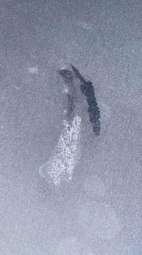 missingrid xxx pornstar images