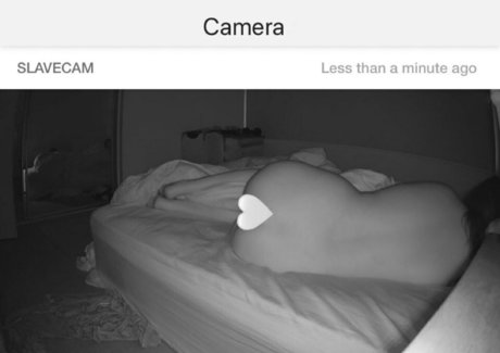 sadiee babyyfree adult star photo