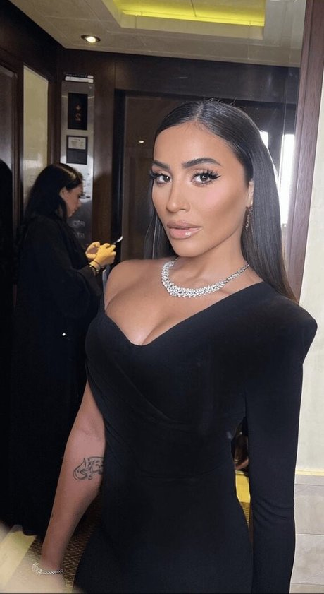 Dina El Sherbiny beautiful star photo