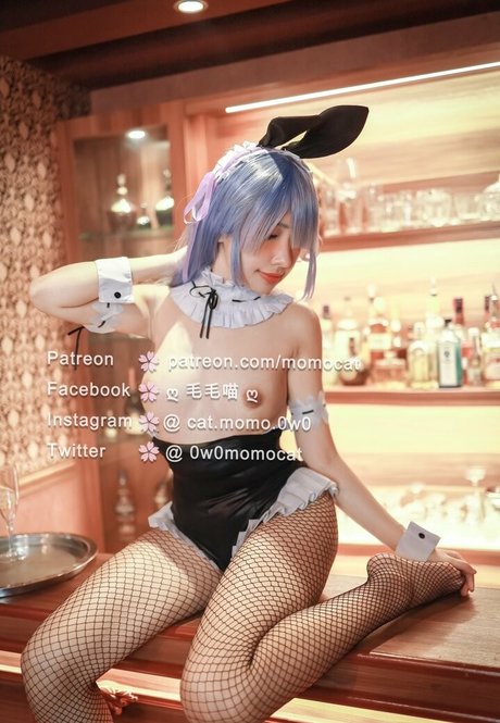 Momocat 0w0 model adult photo
