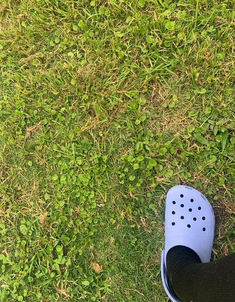 comfyqueen pornstar high quality pic