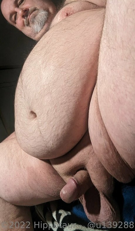 hippotaur pornstar sex pics