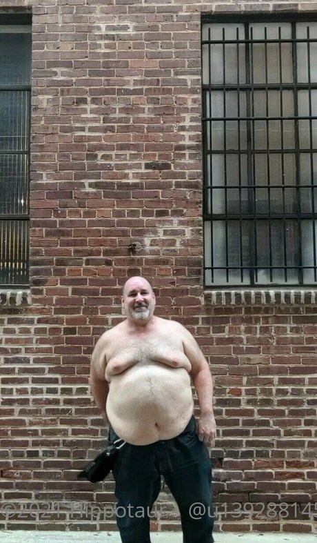 hippotaur hd star archive