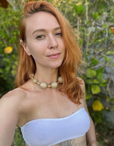 alicerocket star xxx pics