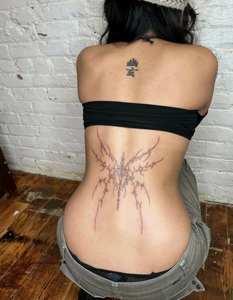 Wasabiicat star hd pics