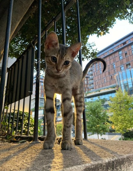 umermaidskiss erotic model img