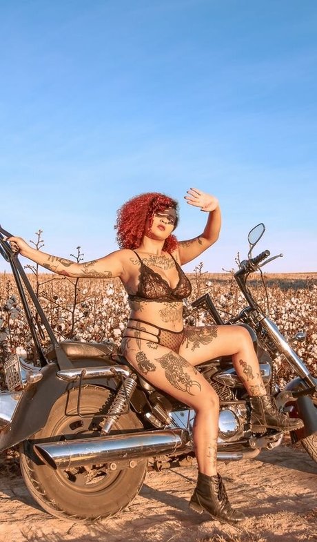 Varias Em Um Profile photo