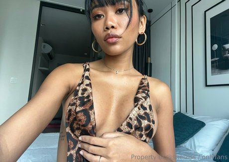 Sheiziss beautiful actress pictures