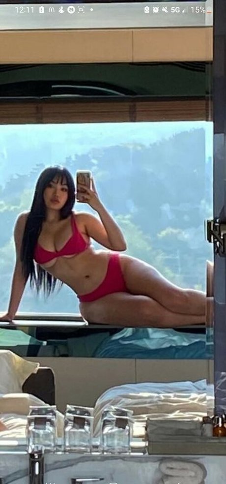 Sc Pion_ model free pic