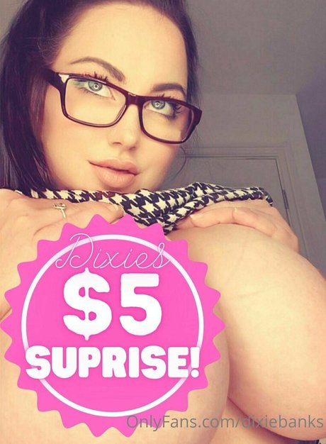 dixiebanks perfect pornstar pictures