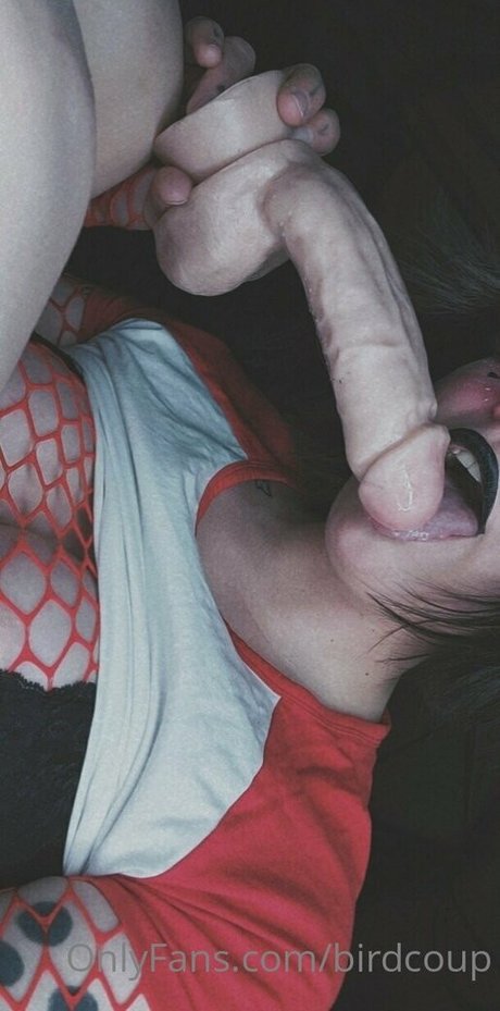 Birdcoup model art img