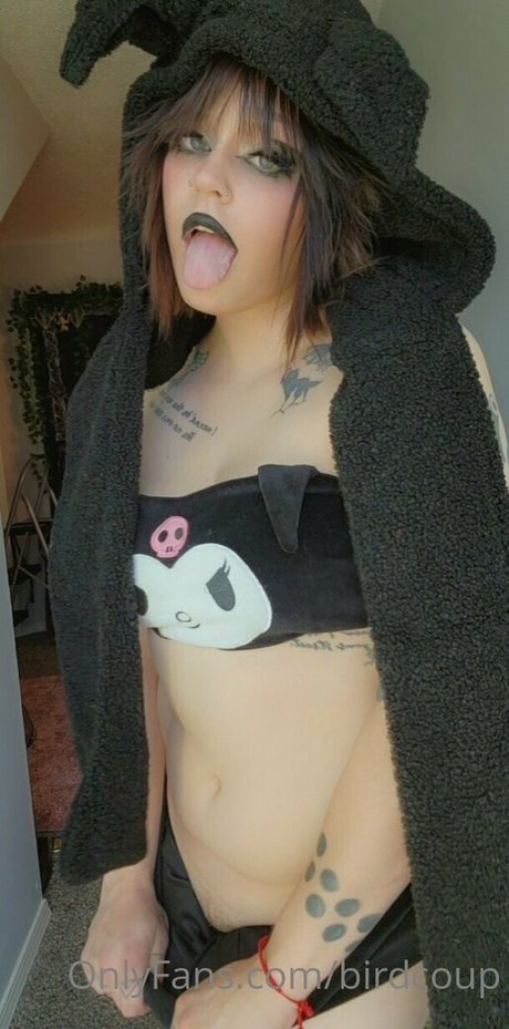 Birdcoup beautiful star galleries