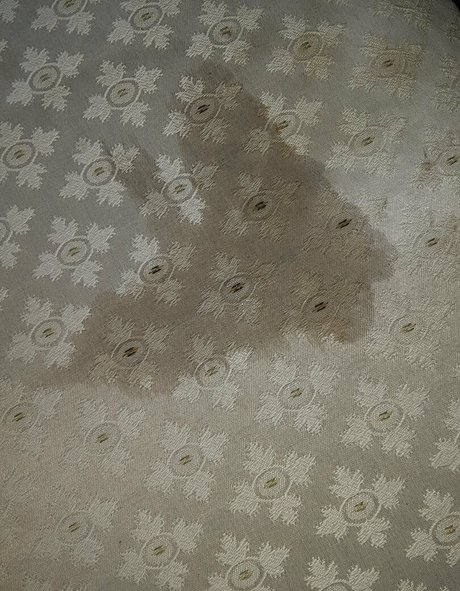 wetnbadmommy model img