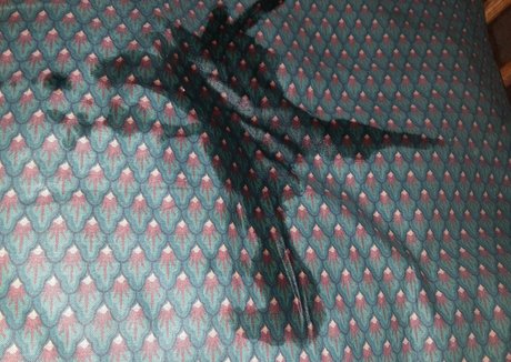 wetnbadmommy model sexy pics