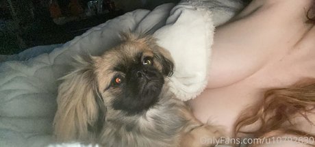 nalabrooks art pornstar photo