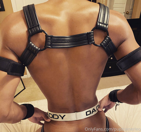 holetrainerleo star free pictures