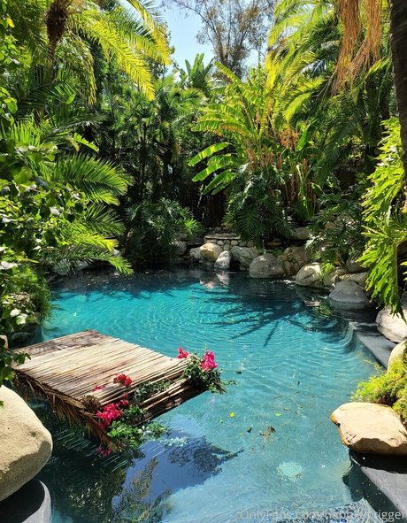 happiertrigger star art picture