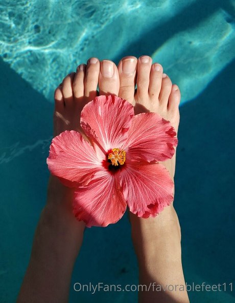 favorablefeet11 pornstar adult img
