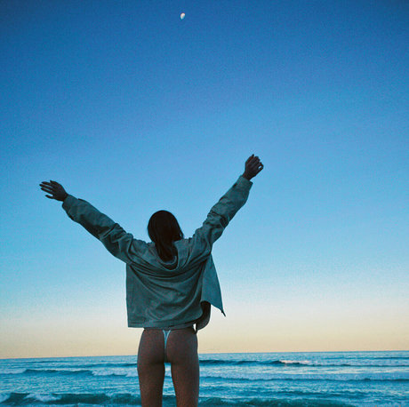 seasharkcensored pornstar hd img