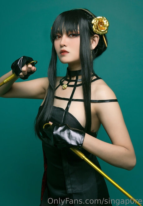 singap0re star gallery