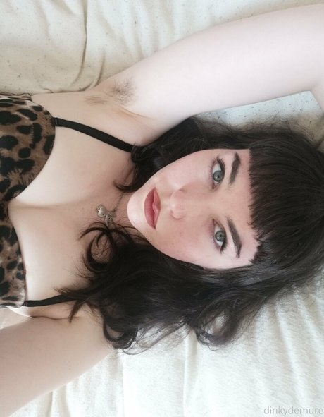 dinkydemure nice star picture