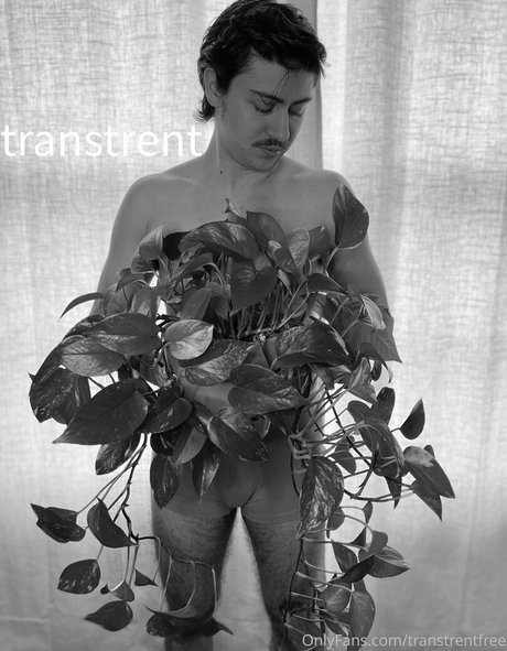 transtrentfree star sexy pic