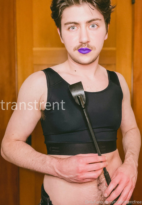 transtrentfree star hd image