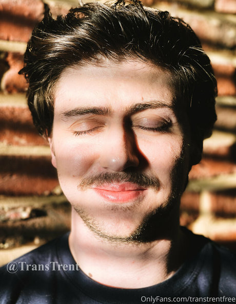 transtrentfree star pretty image