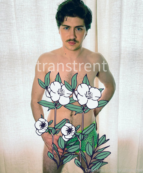 transtrentfree pornstar sex pics