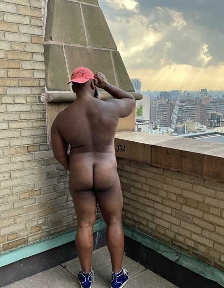 jodymuscle star high quality gallery