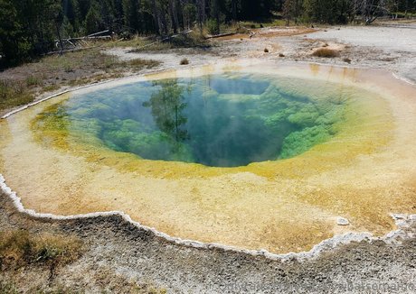 mccoywhatsername star pornographic img