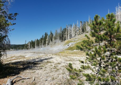 mccoywhatsername model hd archive