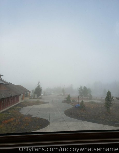 mccoywhatsername adult star pictures