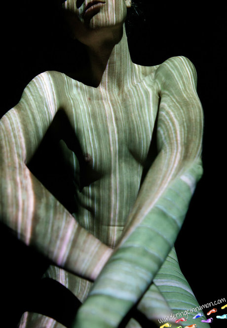 wanderingcinnamon2 adult star img