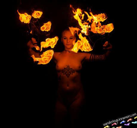 wanderingcinnamon2 star art picture