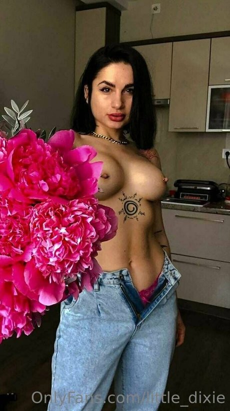 little dixie naked star pics