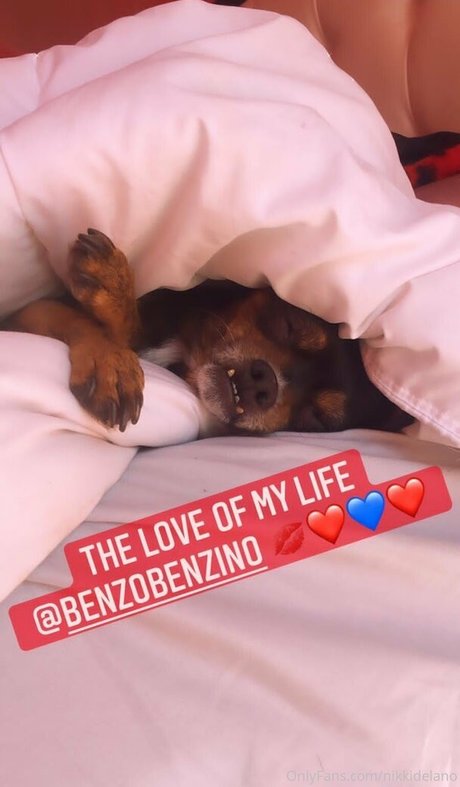 nikkidelano hd actress pictures