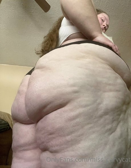 miss curvycat pornstar pretty pictures