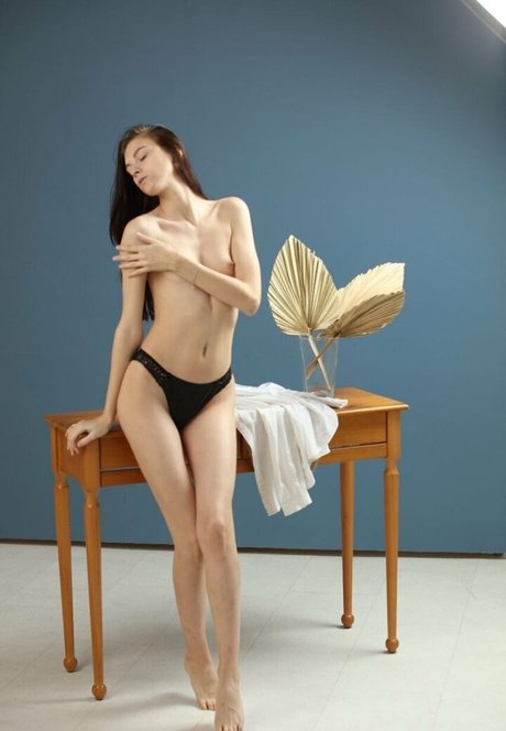 lana virg model porn archive