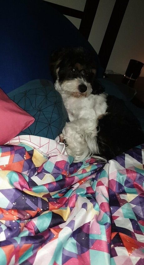 toniclust naked model img